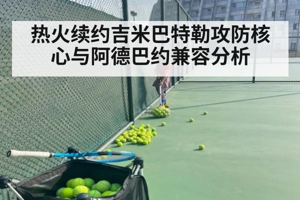 热火续约吉米巴特勒攻防核心与阿德巴约兼容分析 - KAIYUN SPORTS